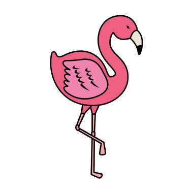 zarif flamingo kuş simgesi