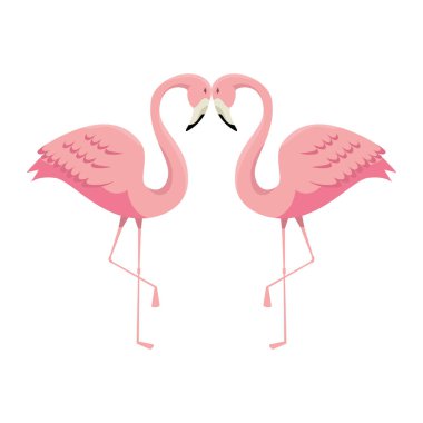 zarif flamingolar kuşlar Çift