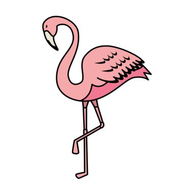 zarif flamingo kuş simgesi