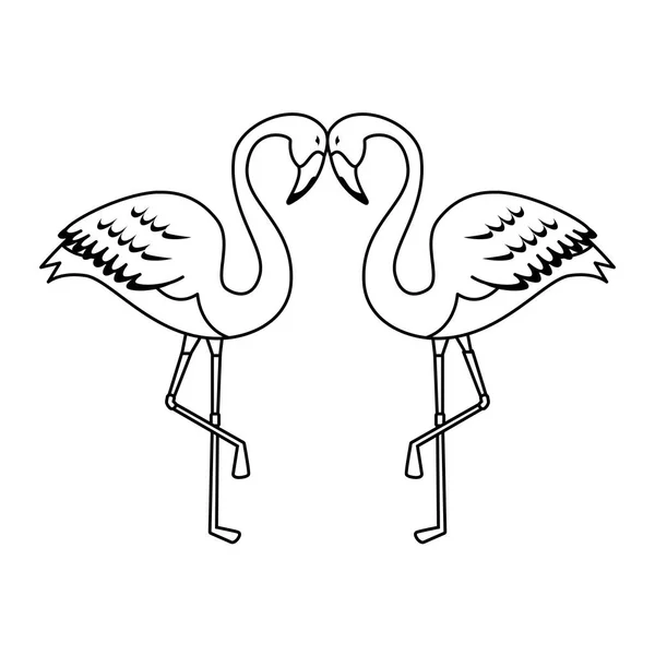 Elegante flamencos aves pareja — Archivo Imágenes Vectoriales