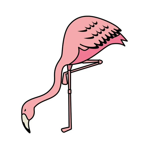 Eleganta flamingo fågel-ikonen — Stock vektor