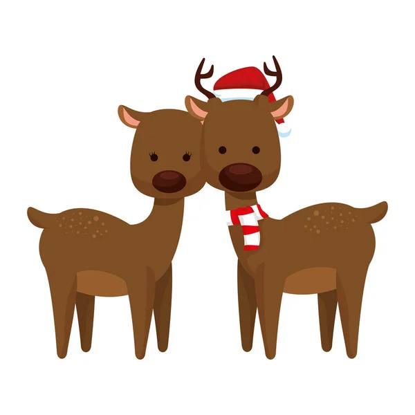 Χαριτωμένο ζευγάρι χαρακτήρες Χριστουγέννων ταράνδων — Διανυσματικό Αρχείο