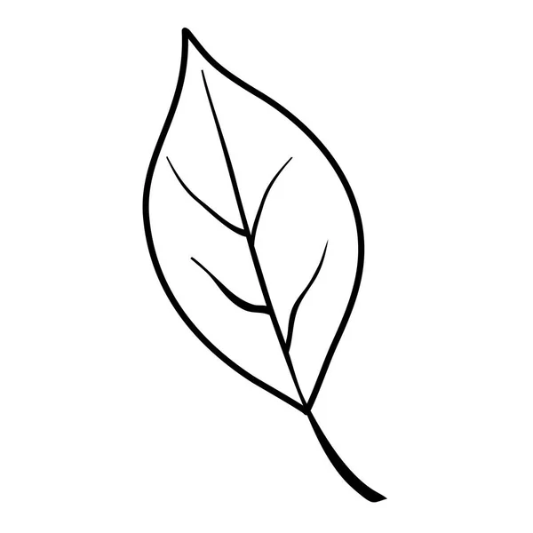 Leaf enda dekorativa ikon — Stock vektor