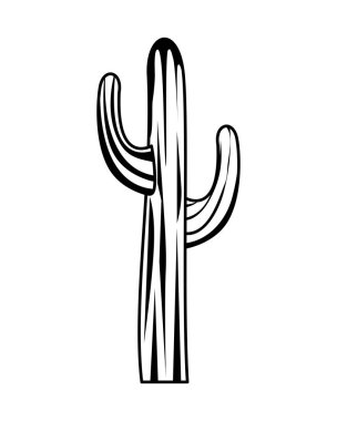 kaktüs bitki izole simgesi
