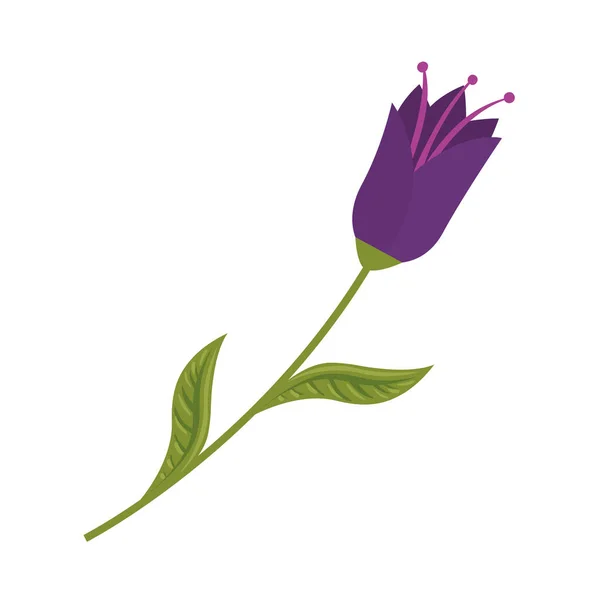 Piękny kwiat z liści dekoracyjnych ikona — Wektor stockowy