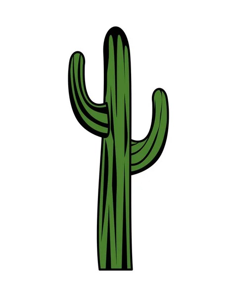 Cactus plante icône isolée — Image vectorielle