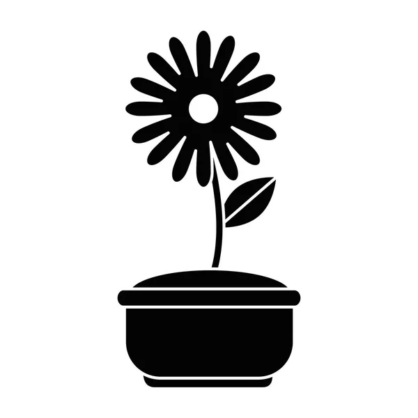Όμορφα λουλούδια στο pot διακοσμητικό — Διανυσματικό Αρχείο
