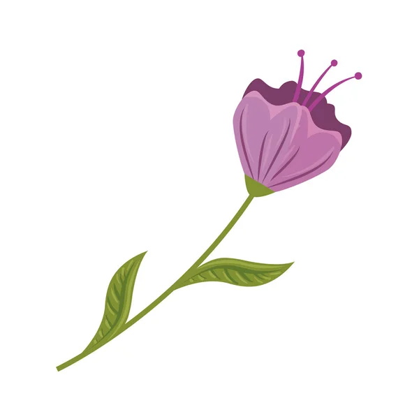 Belle fleur avec des feuilles icône décorative — Image vectorielle
