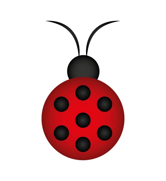 Cute ladybug isolated icon — Stock Vector