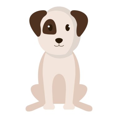 köpek evcil hayvan yetiştirilen