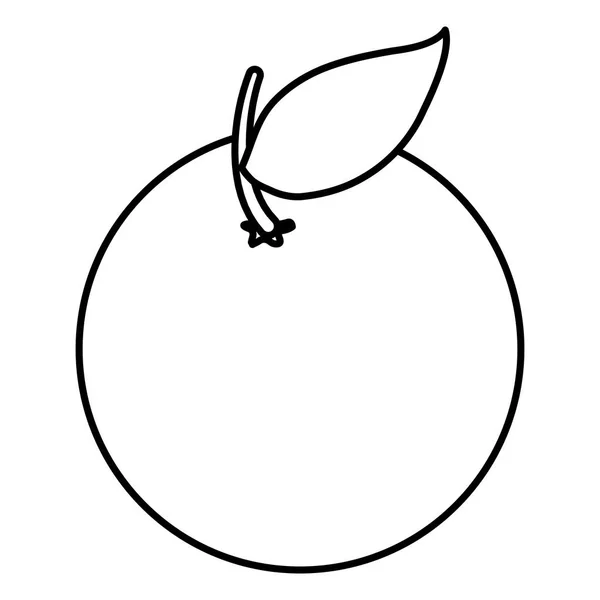 Apelsincitrusfruktsikon — Stock vektor