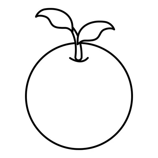Narancs citrusfélék ikon — Stock Vector