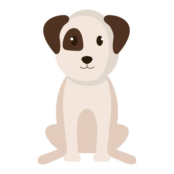 Perro criado mascota amigable — Vector de stock