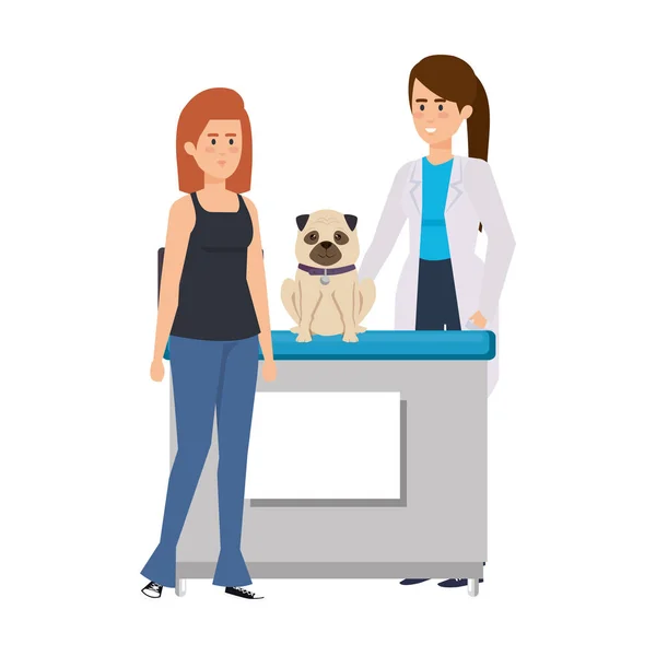 Vétérinaire femelle avec chien dans le bureau — Image vectorielle