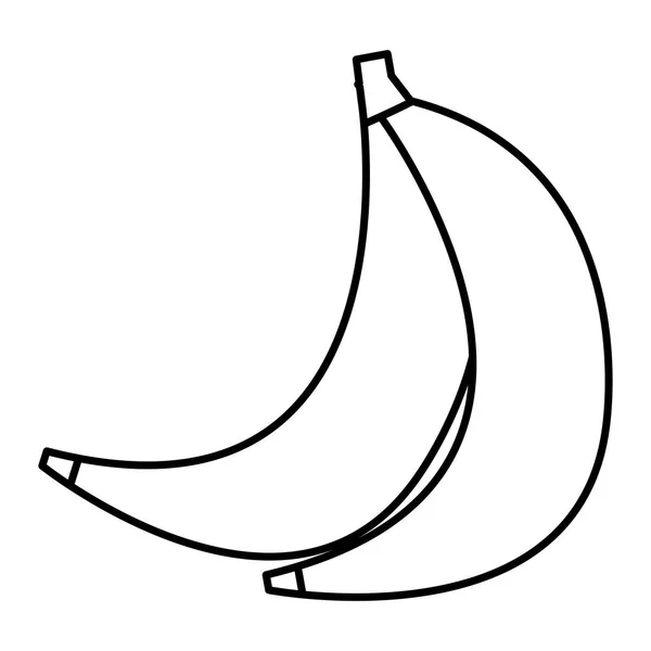 Ícone isolado de cluster de bananas frescas — Vetor de Stock