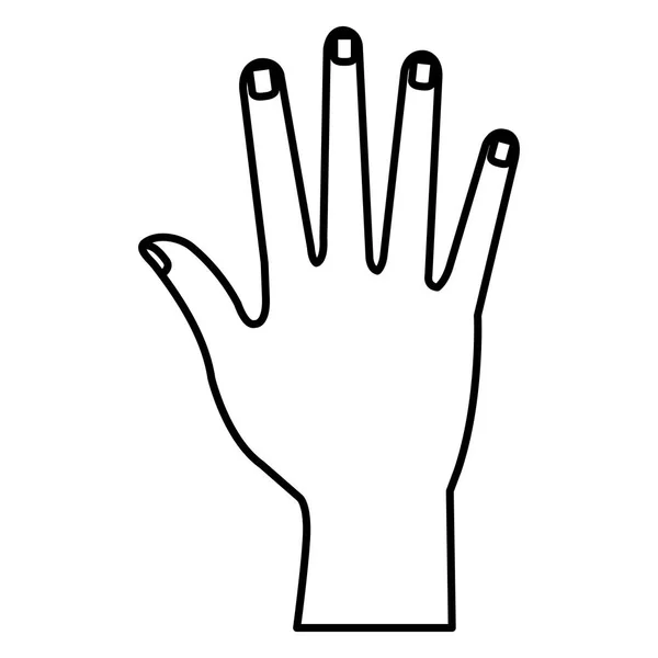 Hand menschliche Ikone isoliert — Stockvektor
