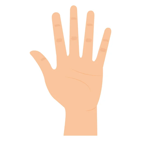 Mano humano aislado icono — Vector de stock