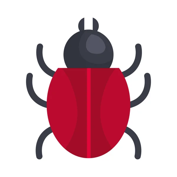 Bug εντόμων απομονωμένες εικονίδιο — Διανυσματικό Αρχείο