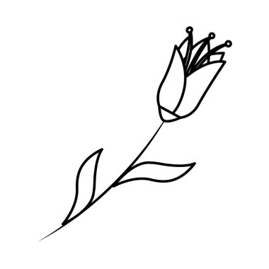 Dekoratif simgesi ile güzel çiçek yaprakları