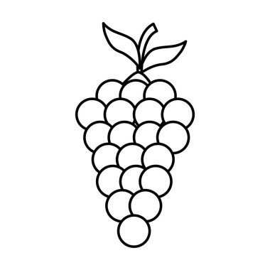 taze üzüm meyve simgesi