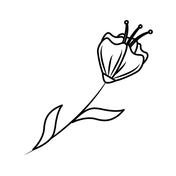 Schöne Blume mit Blättern dekoratives Symbol — Stockvektor