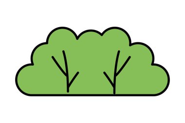 Beyaz arka planda doğa fırça ormanı