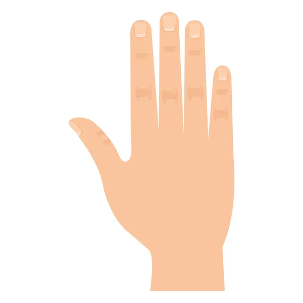 Mano humano aislado icono — Vector de stock