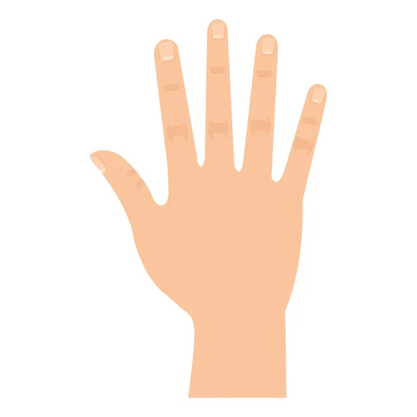 Mão humana ícone isolado —  Vetores de Stock
