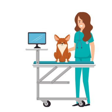 sedyede köpek ile veteriner kadın