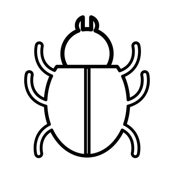 Bug insecte pictogramă izolată — Vector de stoc