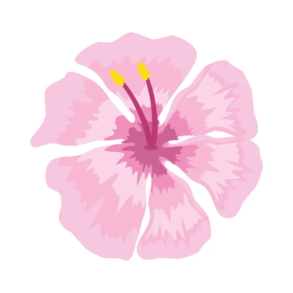 Hermoso icono decorativo flor — Vector de stock