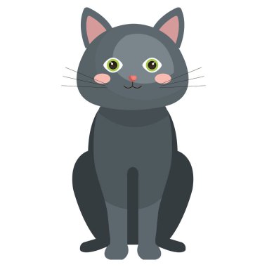 şirin kedi evde beslenen hayvan dostça