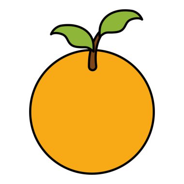 turuncu turunçgil meyve simgesi