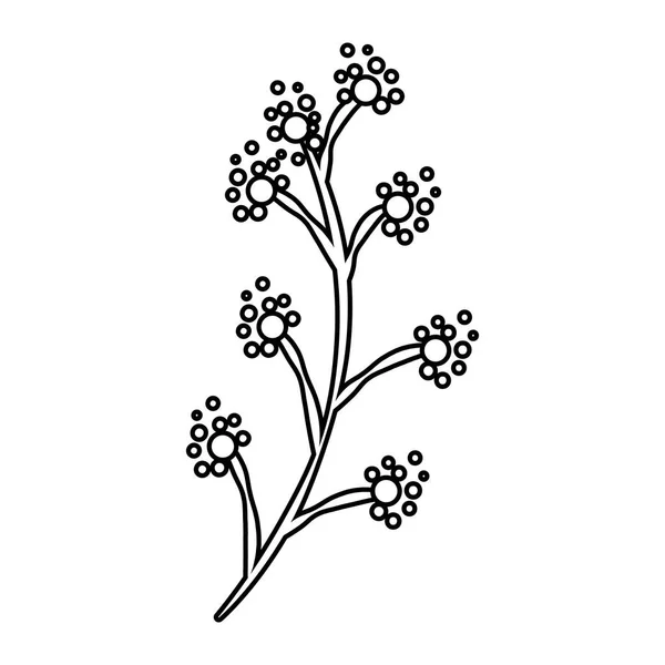 Zweig mit Blüten und Blättern — Stockvektor