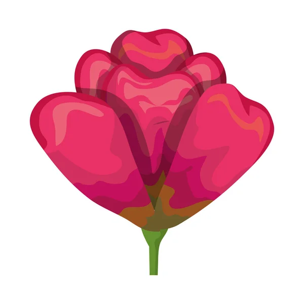 美丽的玫瑰装饰图标 — 图库矢量图片