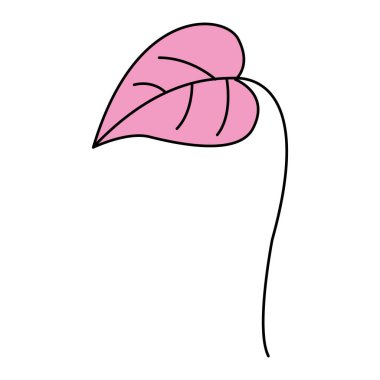 beyaz arka plan üzerinde yaprak doğal yeşillik