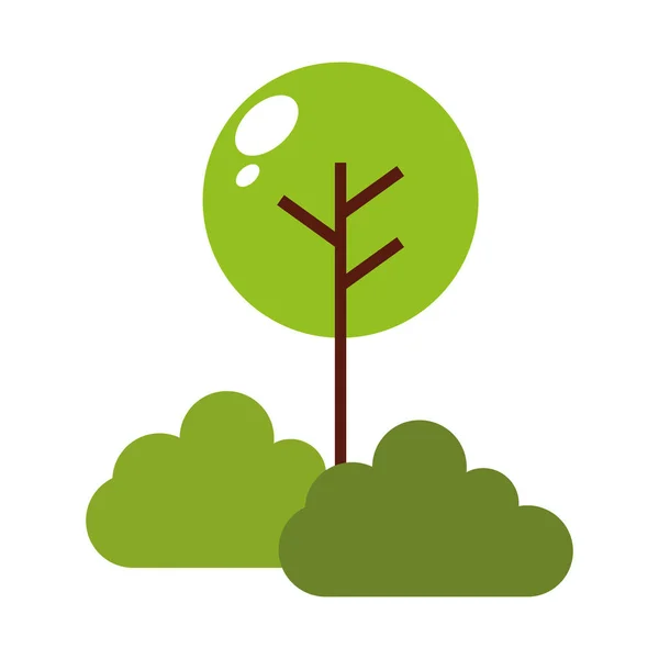Tree plant with bush isolated icon — Stock Vector