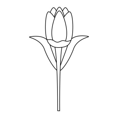 narin çiçek dekorasyonu