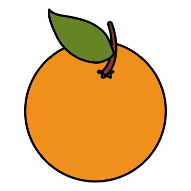 turuncu turunçgil meyve simgesi