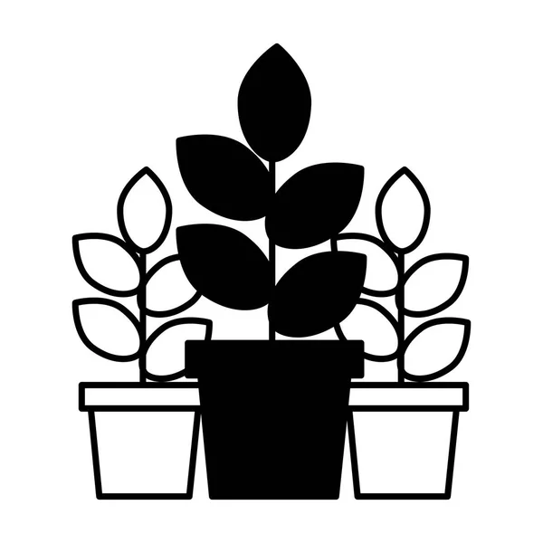 Plantas em vasos ornamento decoração natural — Vetor de Stock