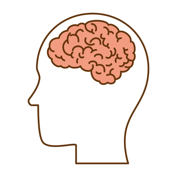 Perfil con icono de órgano humano del cerebro — Vector de stock