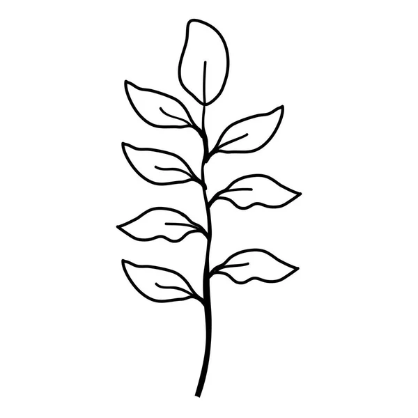 带叶子装饰图标的树枝 — 图库矢量图片