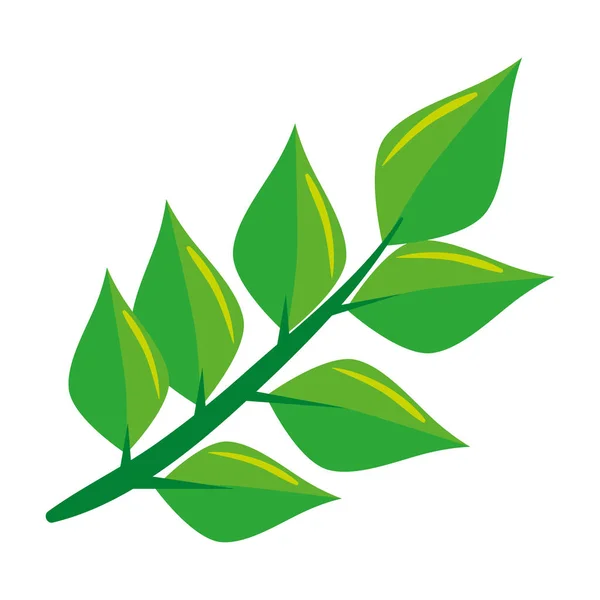 Ecología hojas planta icono — Vector de stock