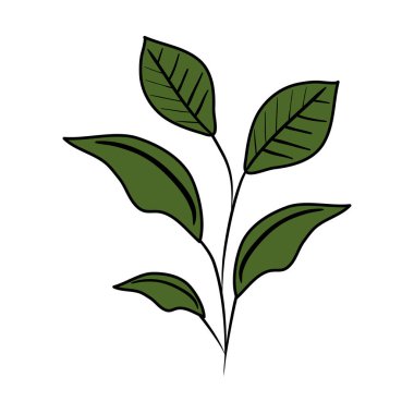 şube ile simge yapraklar