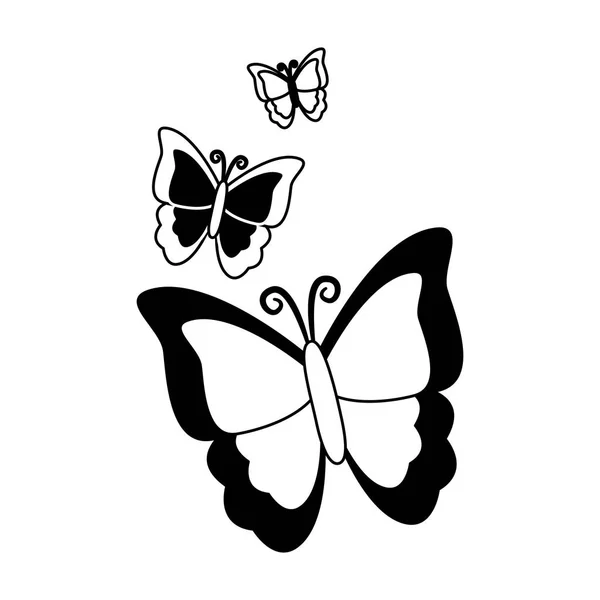 Mariposa naturaleza insecto — Vector de stock