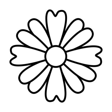 çiçek doğa dekorasyonu