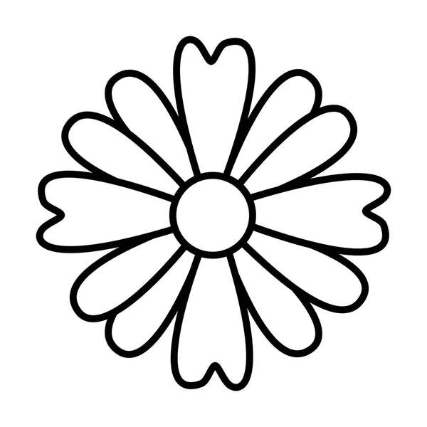 Flor naturaleza decoración — Vector de stock