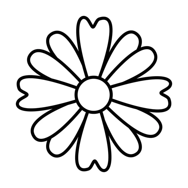花の自然装飾 — ストックベクタ