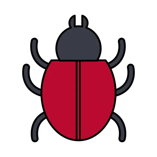 Bug insecte icône isolée — Image vectorielle