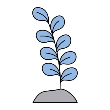 beyaz arka plan üzerinde dal doğa